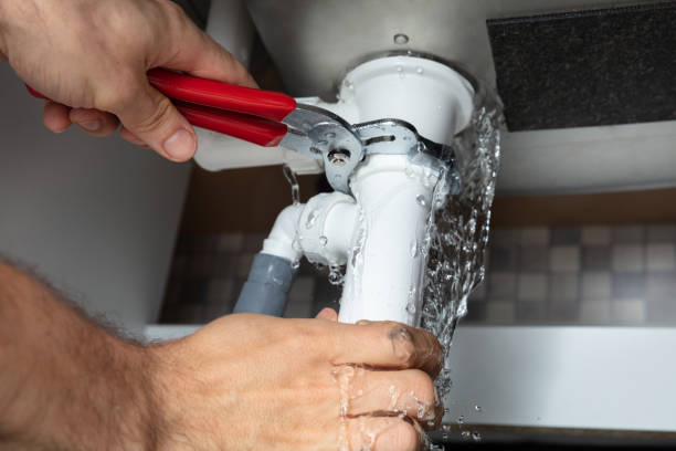 Best Flood damage cleanup  in Flandreau, SD