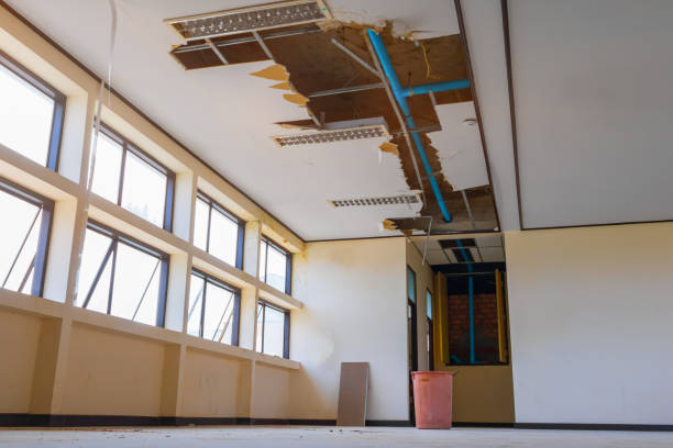 Best Water damage restoration near me  in Flandreau, SD