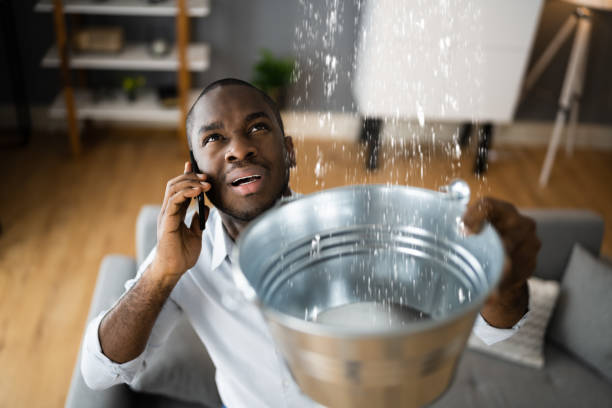 Best Carpet water damage restoration  in Flandreau, SD