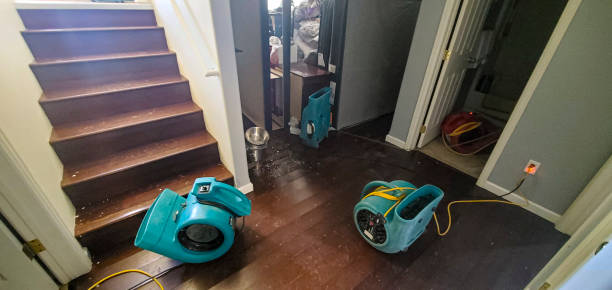 Best Emergency water damage restoration  in Flandreau, SD