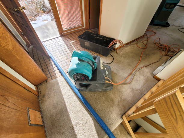 Best Professional water damage repair  in Flandreau, SD
