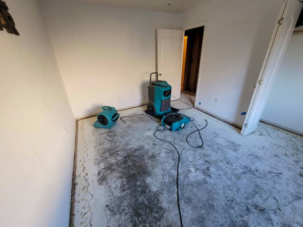 Best Sewage cleanup and water damage restoration  in Flandreau, SD
