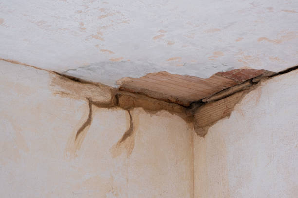 Best Flood restoration services  in Flandreau, SD