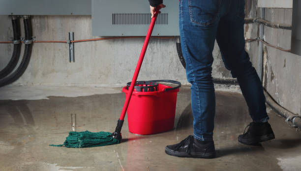 Best Residential water damage restoration  in Flandreau, SD