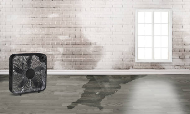 Best Water damage repair service  in Flandreau, SD