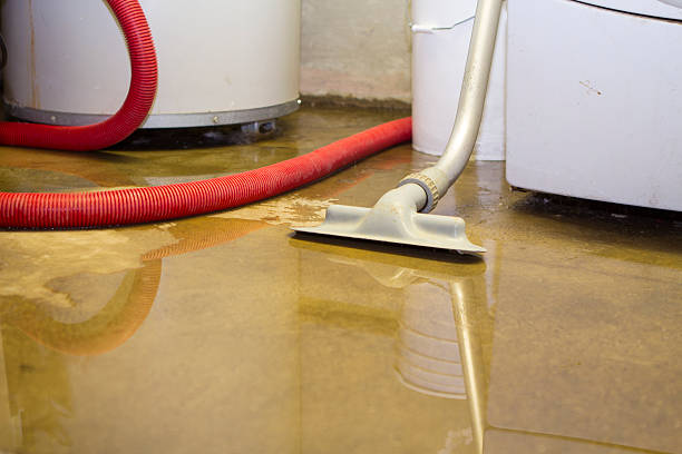 Best Fire Damage Restoration  in Flandreau, SD