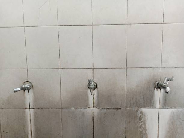 Best Mold removal after water damage  in Flandreau, SD