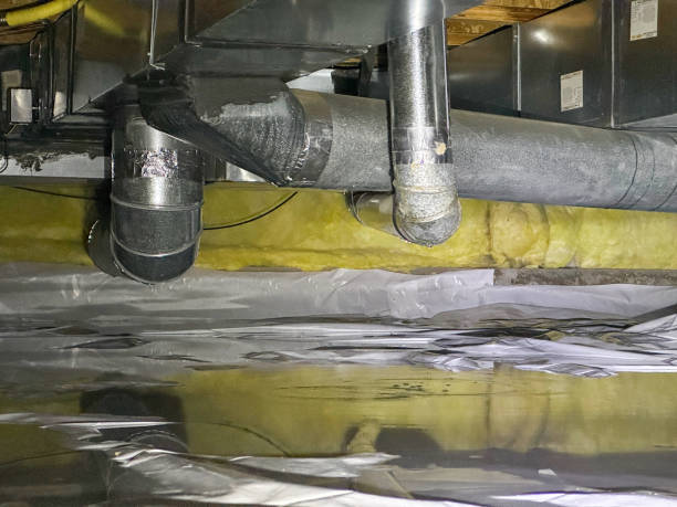 Best Ceiling water damage repair  in Flandreau, SD