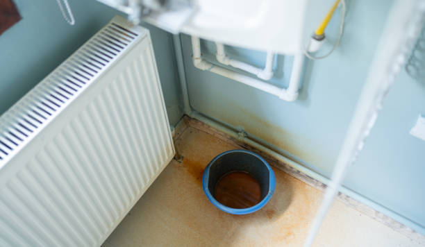 Best Basement water damage restoration  in Flandreau, SD