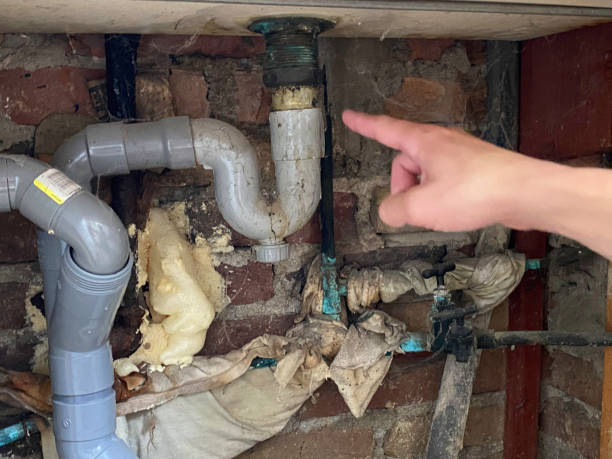 Best Water damage contractors near me  in Flandreau, SD