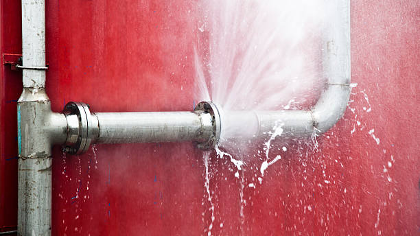  Flandreau, SD Water damage restoration Pros